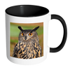 test mug owl