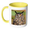 test mug owl