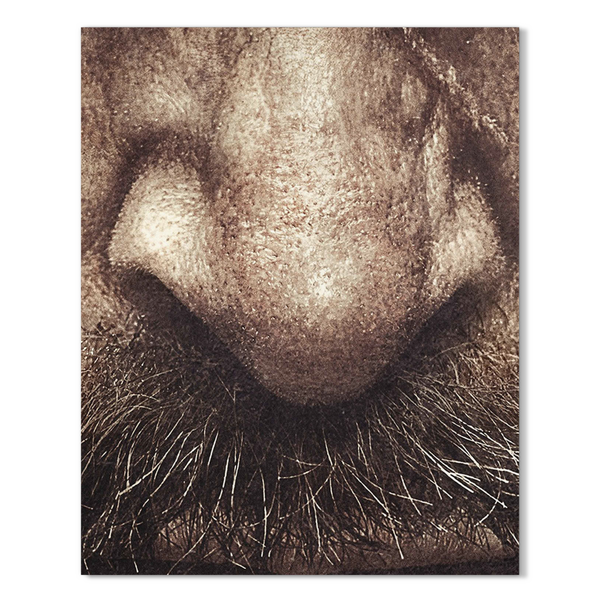 the nose knows 24x30