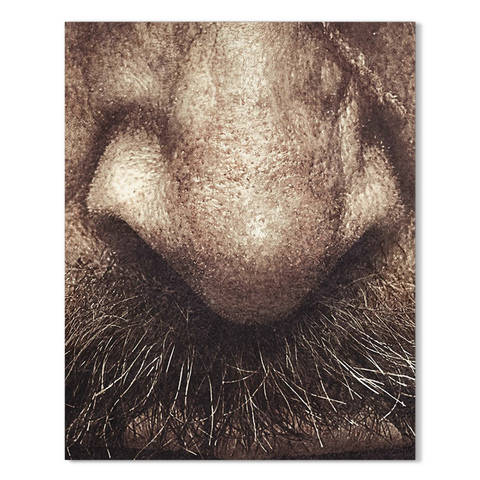 the nose knows 24x30