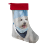 test stocking - dog