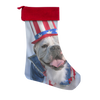 test stocking - dog