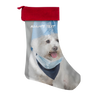 test stocking - giraffe dog