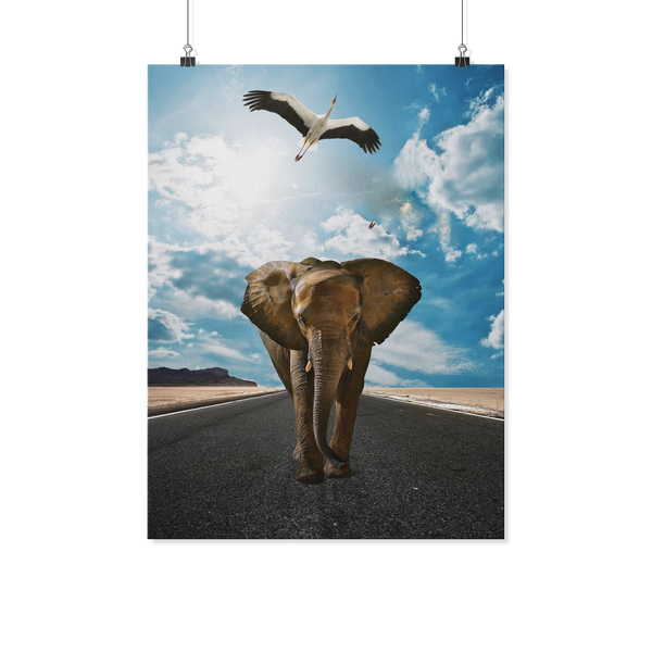 test poster - elephant 18x24 only