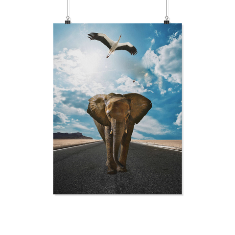 test poster - elephant 18x24 only