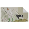Personalized Beach Towel - landscape - pig, man, calf