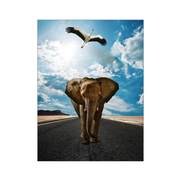 test poster - elephant