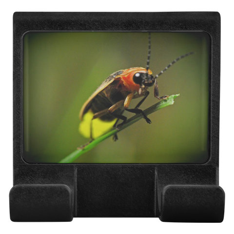 test moniclip butterfly 20190710