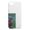 test iphone - bird