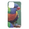 test iphone - the bird