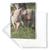 piglets fold card horizontal