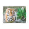 active flat card horizontal