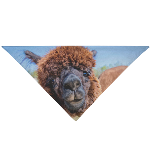 test bandana - alpaca 2