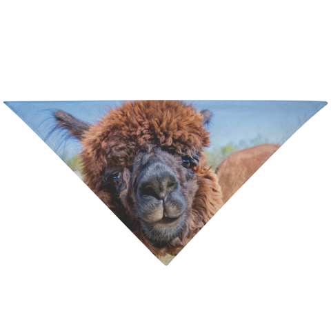 test bandana - alpaca 2