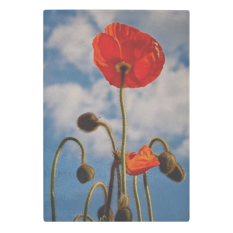 TEST GCB - 3 Vert 6.7.19