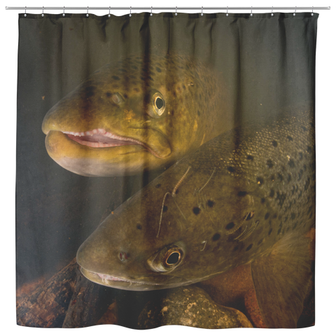 testshower curtain fish 20190708