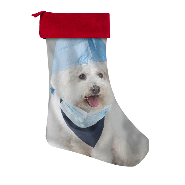 test stocking - dog