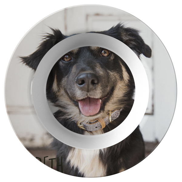 Dog dinner bowl