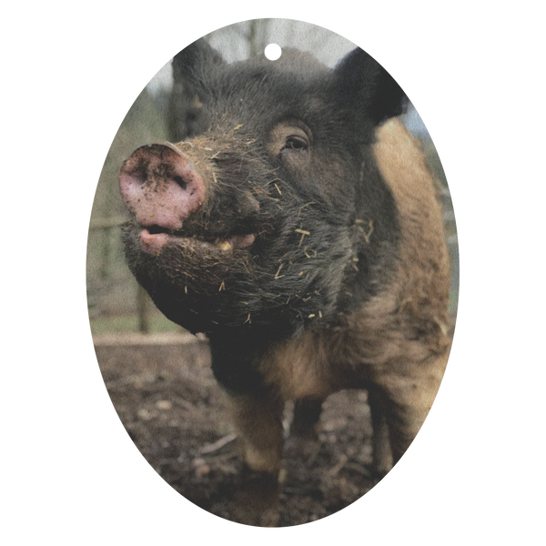 test air freshener pig 20190417
