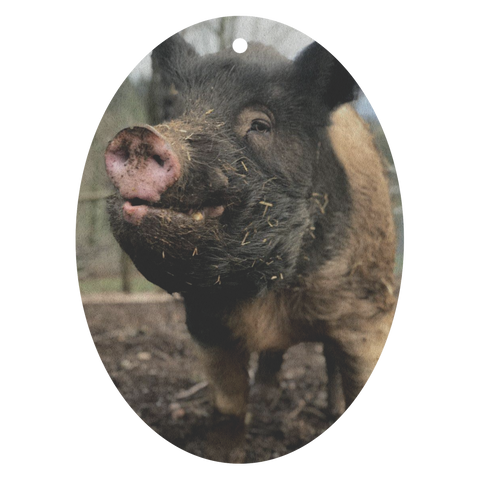 test air freshener pig 20190417