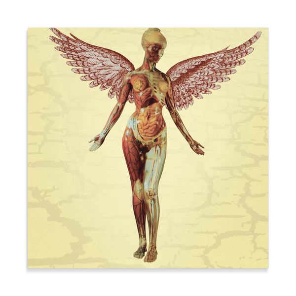 test canvas - nirvana