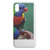 test iphone - bird