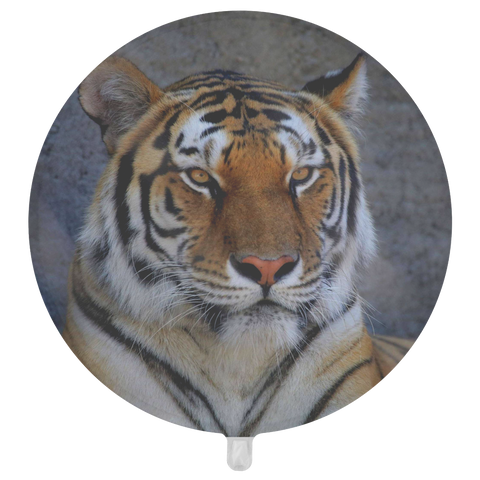 test balloon - tiger 07232019