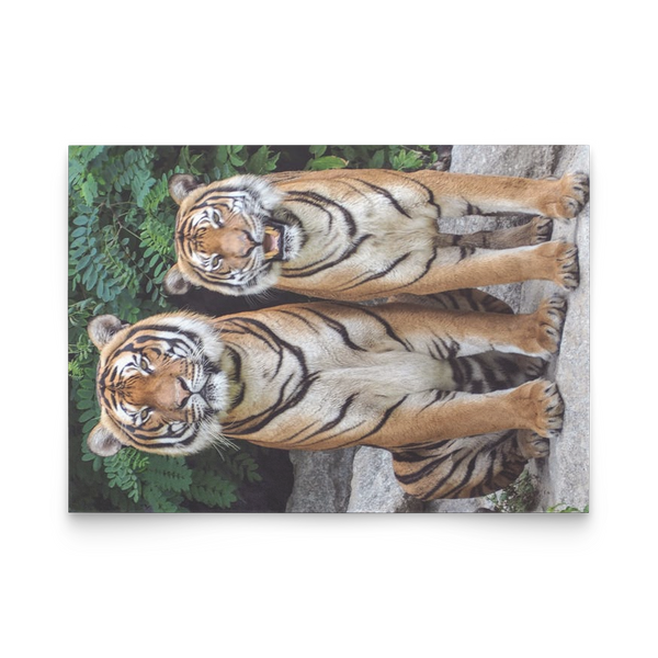 flat card vert test 2