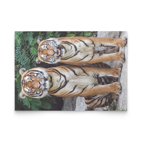 flat card vert test 2