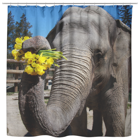 test shower curtain - elephant