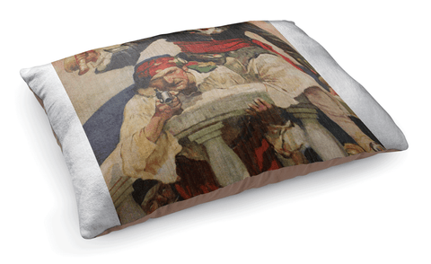 test pet bed - pirate