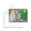 active flat card horizontal