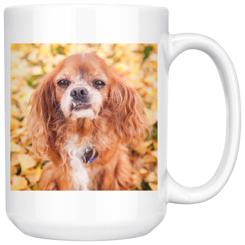 test mug - angry dog