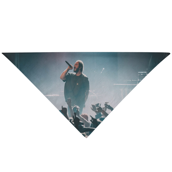 TEST - Pet Bandana 1 5.20.19