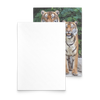 flat card horizontal test new 1