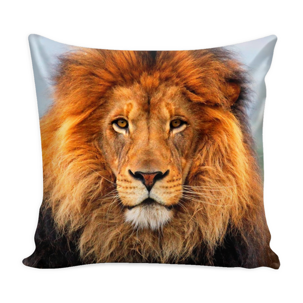 test pillow cover