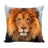test pillow cover