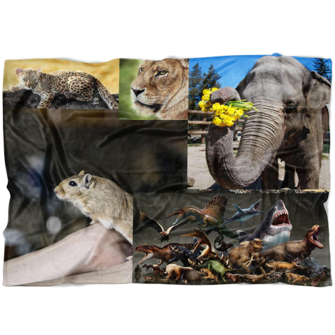 test fleece blanket - dpi test 6