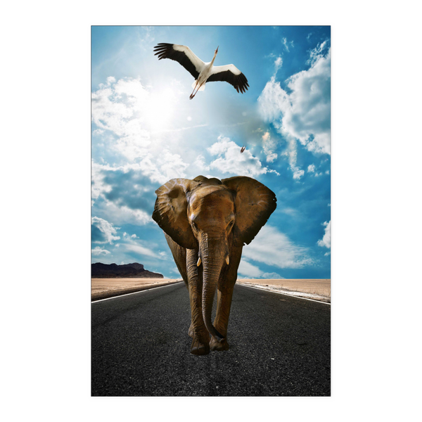 test poster - elephant