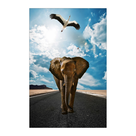 test poster - elephant