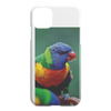 test iphone - bird