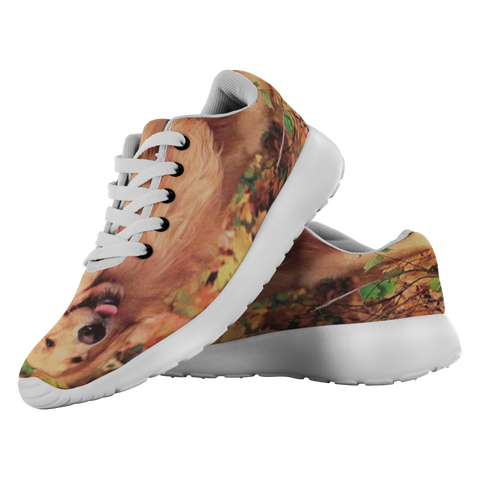dog shoe test