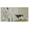 test towel - waiter