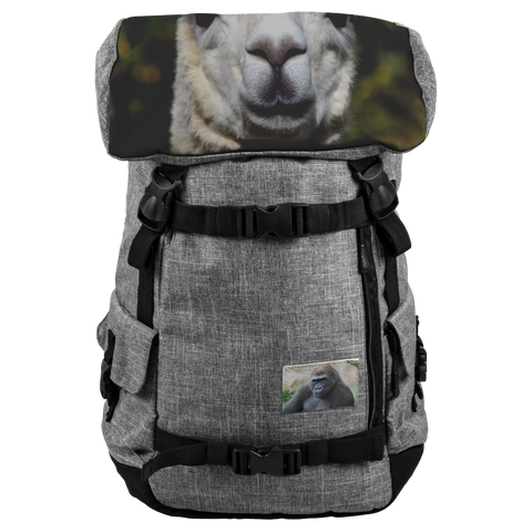 backpack test 17-a