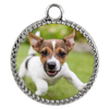 dog necklace