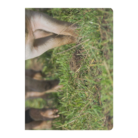 fold card horizontal test