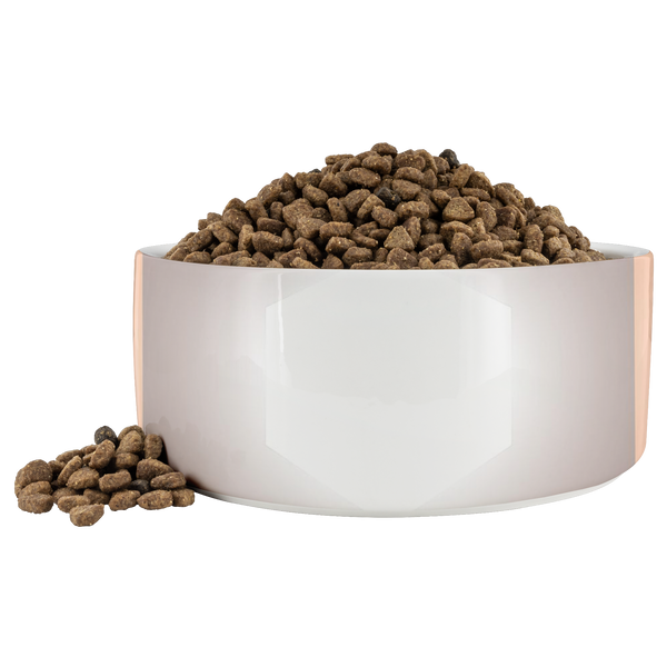dogbowl v2 t4