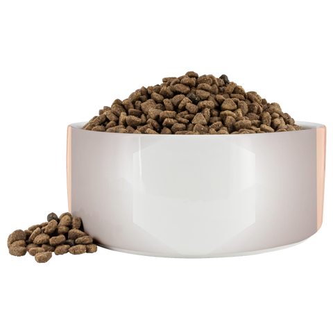 dogbowl v2 t4