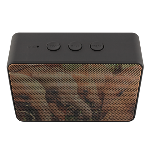 test speaker - elephant fish