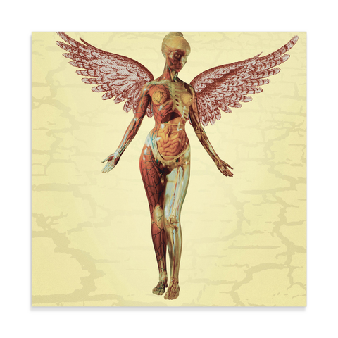 test canvas wrap gallery - angel